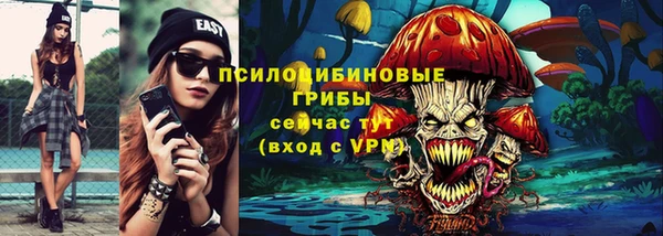 крисы Белокуриха