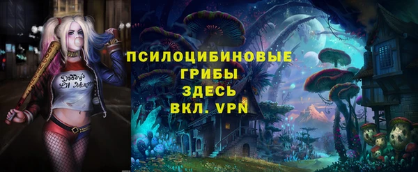 крисы Белокуриха