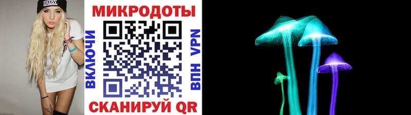 Галлюциногенные грибы мухоморы  Высоцк 